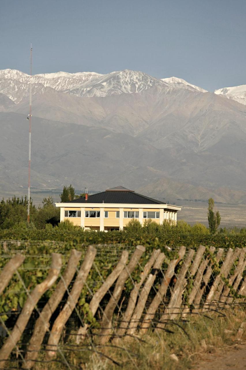 Mendoza Wine Hotel 4*